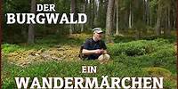 Der Burgwald " Ein Wandermärchen " * Wander Doku in 4K * Burgwald Trail