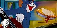 Tom & Jerry | You're Still My Baby, Baby | Classic Cartoon | WB Kids