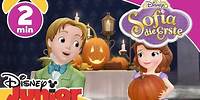 Sofia die Erste - Clip: Die Halloween-Kostümparty, Teil 1 | Disney Junior