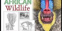 African Wildlife Coloring Book by Tim Jeffs Flip-Through Video