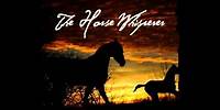 Thomas Newman - Montana (The Horse Whisperer Soundtrack)