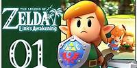 Legend of Zelda Link's Awakening Remake Walkthrough Part 1 Mysterious Island (Nintendo Switch)