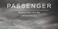 Passenger | Beautiful Birds (Acoustic) (Official Album Audio)