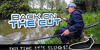 Back On The Cut (THIS TIME IT'S SLUGS!)
