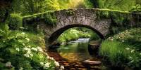 Peaceful Celtic Relaxing Instrumental Music, Meditation Music "Summer in Ireland" by Tim Janis