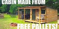 This Tiny House/Cabin was made from FREE Pallets!