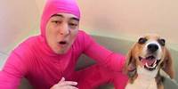 PINK GUY LOVES ANIMALS