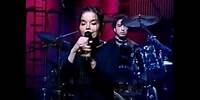 Björk - Human Behaviour (Original studio version on live video)