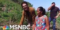Trump Admin. Ignored Own Report On Climate Impact On Guatemalan Migration | All In | MSNBC