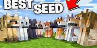 The PERFECT Seed For Minecraft 1.21! (All New Wolf Variants at Spawn!)