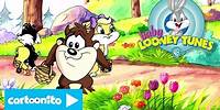 Baby Looney Tunes | Easter Egg Hunt | Cartoonito