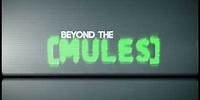 Beyond The Mules Preliminary Trailer