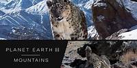 Rare snow leopards caught on camera - Planet Earth II: Mountains Preview - BBC One