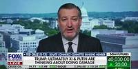 Ted Cruz on Maria Bartiromo: Democrats Weaponizing the Justice System is a Disgrace