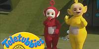 Teletubbies | What is Po & Laa Laa's Favourite Number? | Shows for Kids