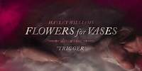 Hayley Williams - Trigger [Official Audio]