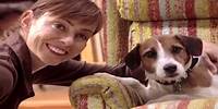 "Animal Magnetism" - Eddie the Jack Russell Terrier from "Frasier"