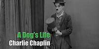 Charlie Chaplin - A Dog's Life - Hand Scene ("Puppet" Gag)