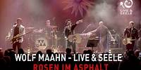 Wolf Maahn - Rosen im Asphalt (Live in Köln)