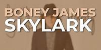 Boney James - Skylark (Official Audio)