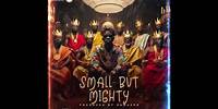 Shatta Wale - Small But Mighty (Audio Slide)