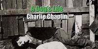 Charlie Chaplin - Nap Time (A Dog's Life)