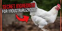 How I Used Chickens To Ignite My Industrial Revolution