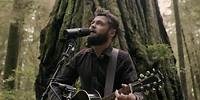 Passenger | Survivors (Acoustic Live from Jedediah Smith Redwood State Park, OR)
