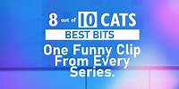One Funny Clip From Every Series! | 8 Out of 10 Cats