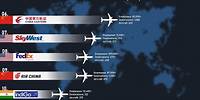 Top 10 Airlines By Fleet Size (2024)