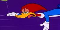 Woody Can't Get Comfortable | Woody Woodpecker