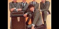 The Hollies "I'm Alive"