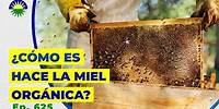 625. ¿Cómo se hace la miel orgánica?