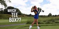 What Tee Box Should You Be Playing?