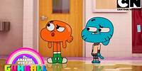 Uma lição de amizade | O Incrível Mundo de Gumball | Cartoon Network 🇧🇷