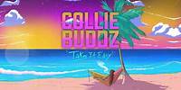 Collie Buddz - No Bush Weed (ft. B Real)