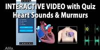 NEW! INTERACTIVE VIDEO: Heart Sounds and Heart Murmurs