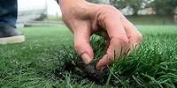7 On Your Side: D.C. Council member takes on artificial turf fields