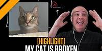 Day[9] Story Time - My Cat is Broken...Here's Why