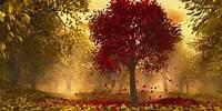 Matt Monro - Autumn leaves
