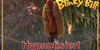Hypnotisiert - Blinky Bill 🌴🌿