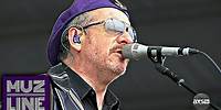 Elvis Costello & The Imposters Live at New Orleans Jazz & Heritage Festival 2016