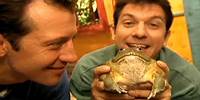 Zoboomafoo with the Kratt Brothers! FROG | Full Episodes Compilation