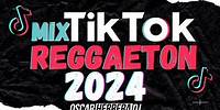 MIX TIK TOK REGGAETON 2024 - LO MEJOR DEL 2024