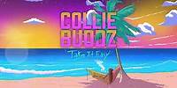 Collie Buddz - Collision (ft. Danny Towers)