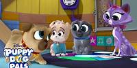 Storytime Wiggles 📚| Puppy Playcare | Puppy Dog Pals | Disney Junior
