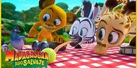 Un juego de aniversario de los amigos | DreamWorks Madagascar en Español Latino