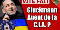 Raphaël Glucksmann – Agent de la CIA ? Ou IDIOT utile des beaux quartiers ?