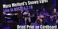 Snowy Egret: Dried Print on Cardboard | Myra Melford