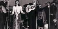 The Seekers - The Last Thing On My Mind